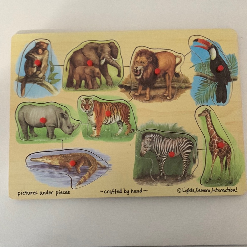 Wooden peg puzzle